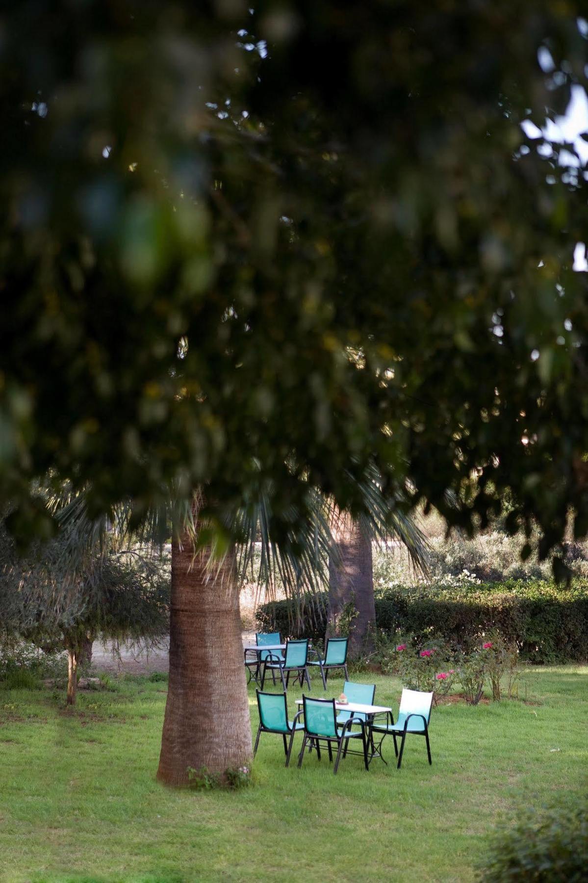 Villa Life Agia Marina Esterno foto